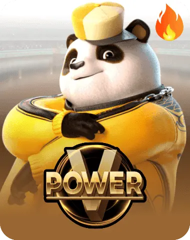 VPower