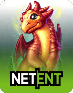 Home net